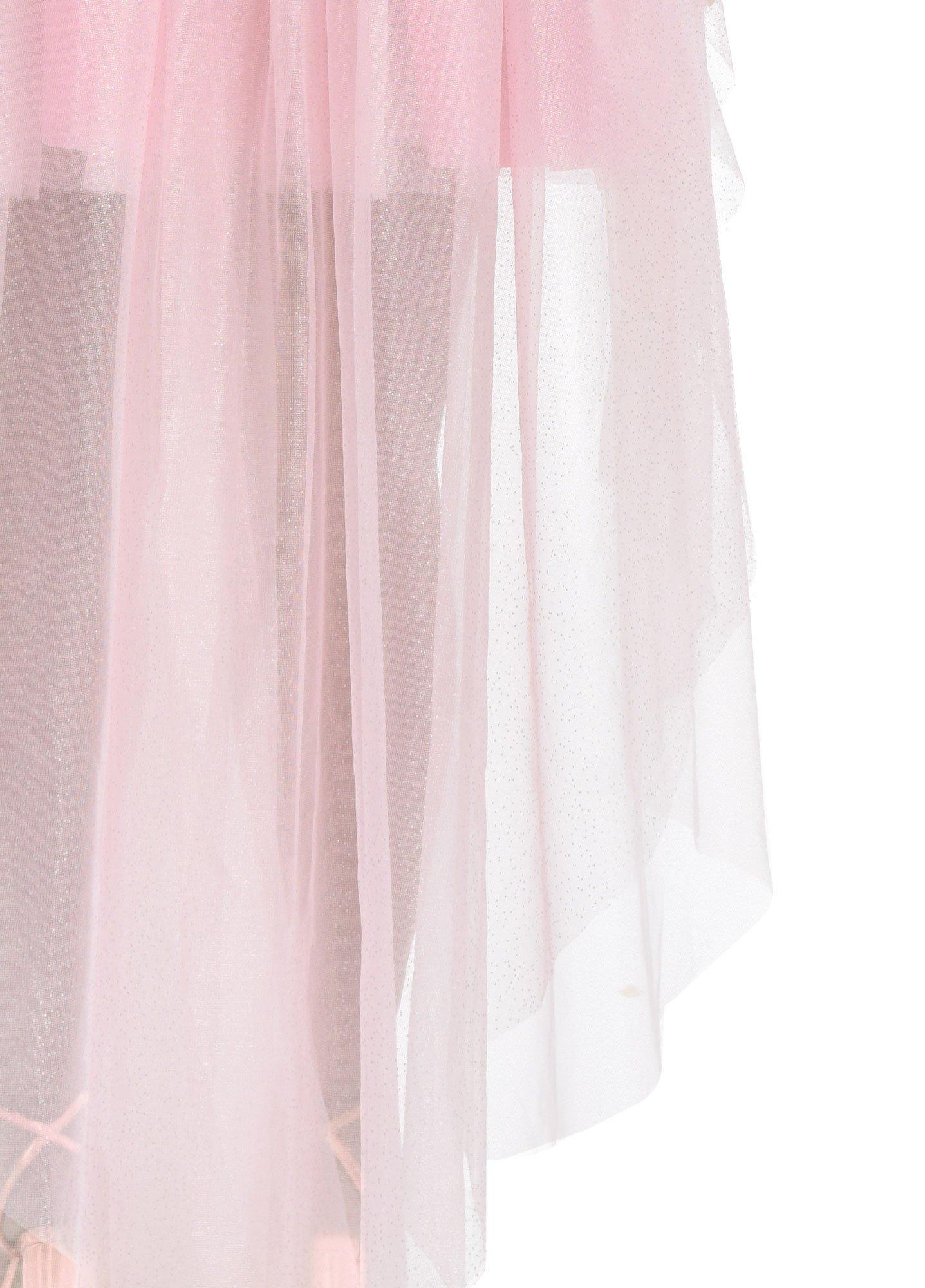 Adult Pink Plus Size Bustle with Train