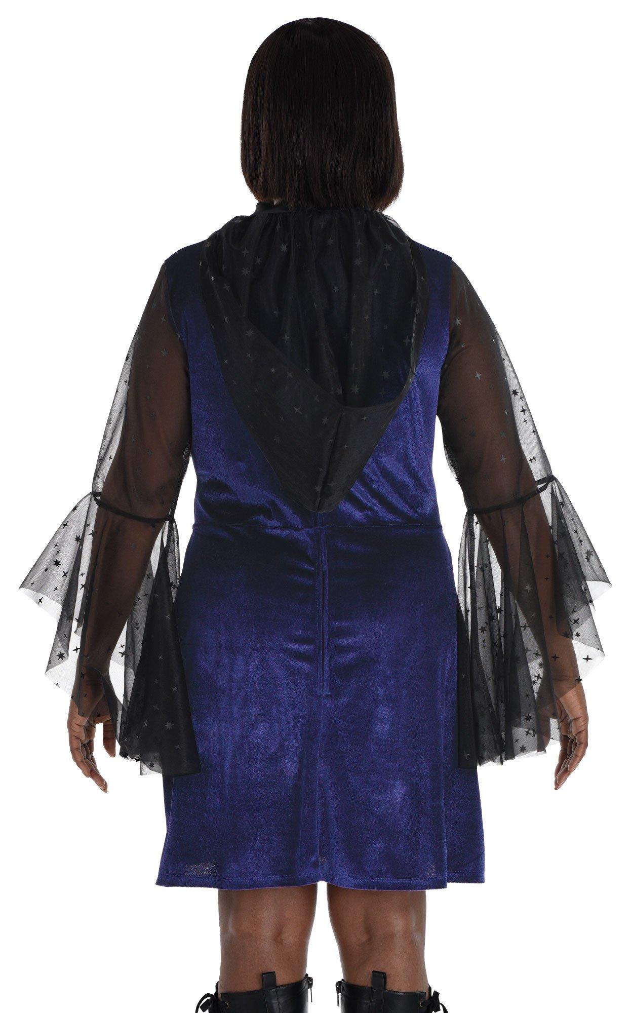 Adult Bad Witch Plus Size Dress