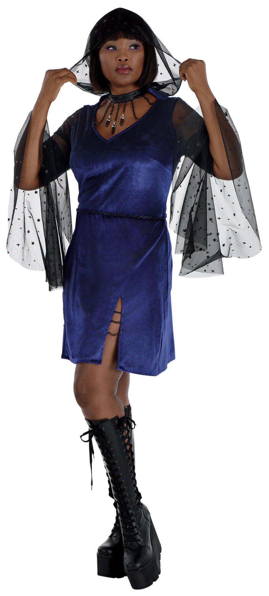 Adult Bad Witch Plus Size Dress