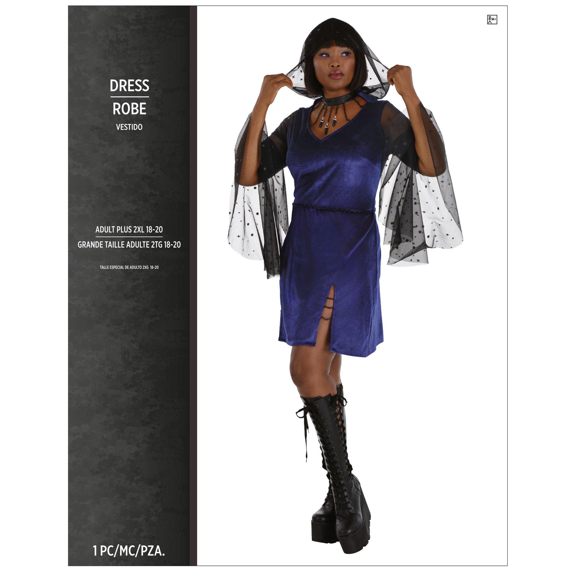 Adult Bad Witch Plus Size Dress