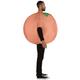 Adult Inflatable Peach Costume