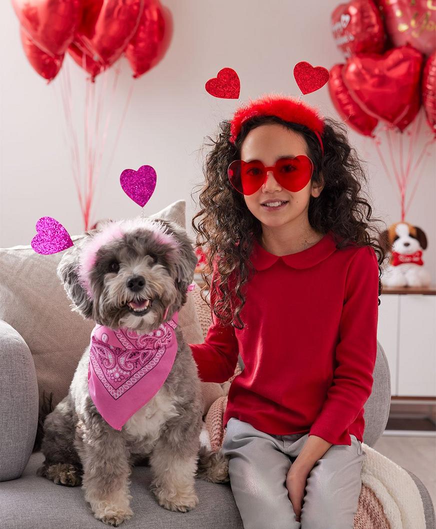 Valentine's Classroom Party Accessories