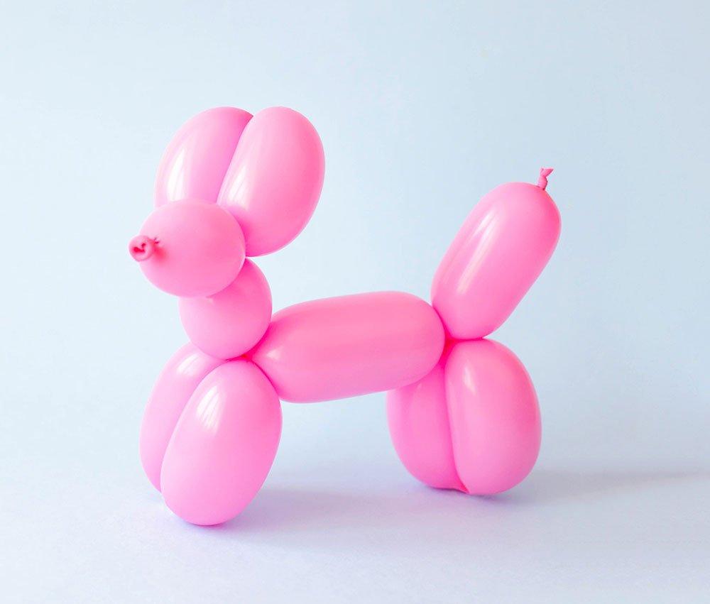 How to Make a Balloon Animal for Beginners Party City