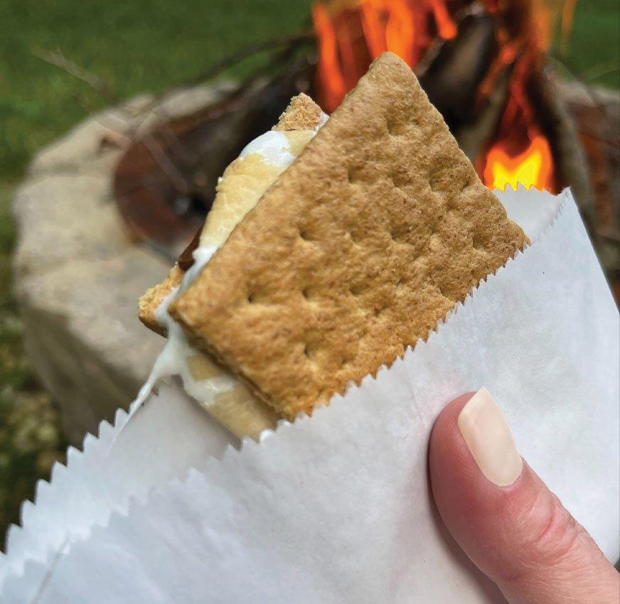 Bonfire Birthday Party Ideas Party City