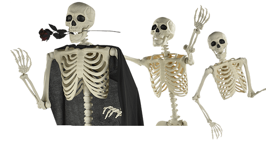 Mini Human Skull Decors Prop Skeleton Plastic Head Halloween CoffeeBar *Ornam FB 