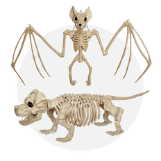 Skeleton Creatures
