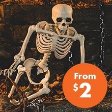 Halloween Skeleton & Skulls