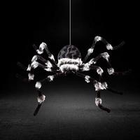 Spiders and Webbing