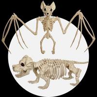 Skeleton Creatures Halloween Value