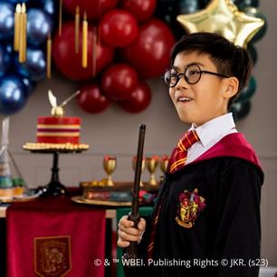 Zyozi Harry Potter Birthday Decorations, Harry Potter Birthday Party  Supplies for Kids, Harry Potter Party Decorations