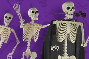 Skeletons and Skulls