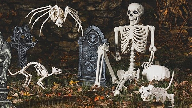 Skeletons & Skulls