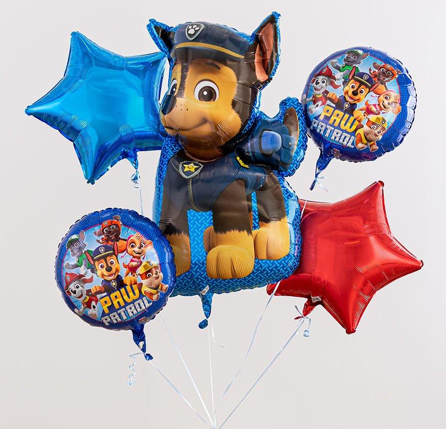 PAW Patrol Birthday Cake Decorations Party City