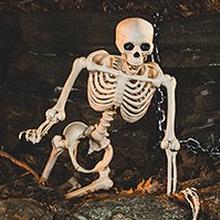 Halloween Skeleton & Skulls