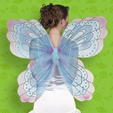 Butterfly, Fairy & Angel Wings