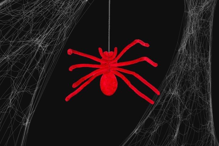 BOGO Free Spiders & Webbing