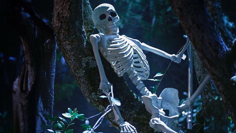 Party City Yorrik the skeleton lounging in a tree