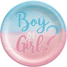 Gender Reveal Ideas Games 54 Voting Gender Reveal Party Decorations Boy or  Girl