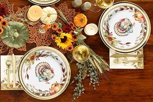 Plastic thanksgiving dinner plates cheap