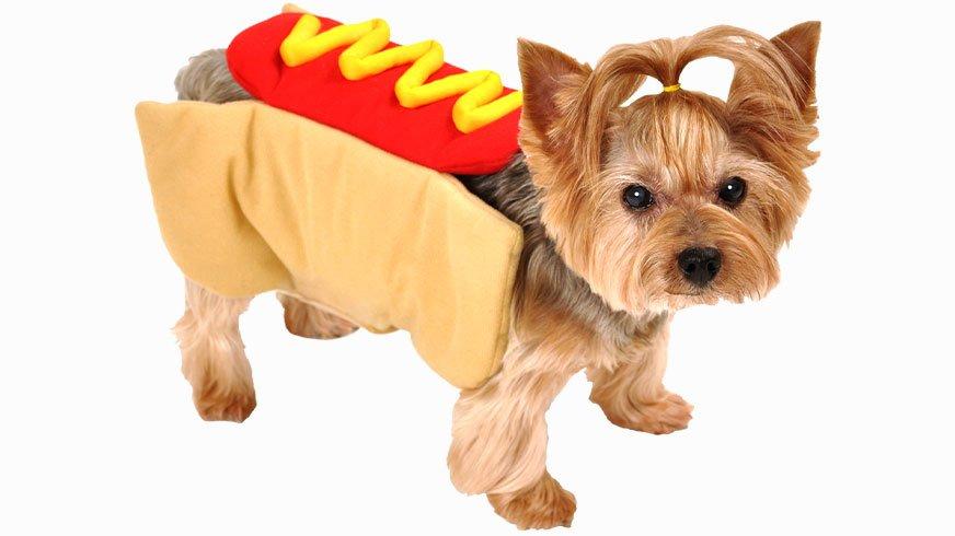 Unique Halloween Hot Dog "Dog" Costumes