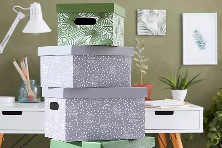 Pepco decorative storage boxes stacked on desk with botanical prints and plants in a home office setting.