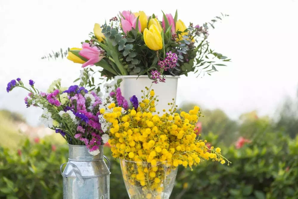 Tre vasi di fiori primaverili con tulipani gialli e rosa, mimosa e fiori selvatici in giardino.