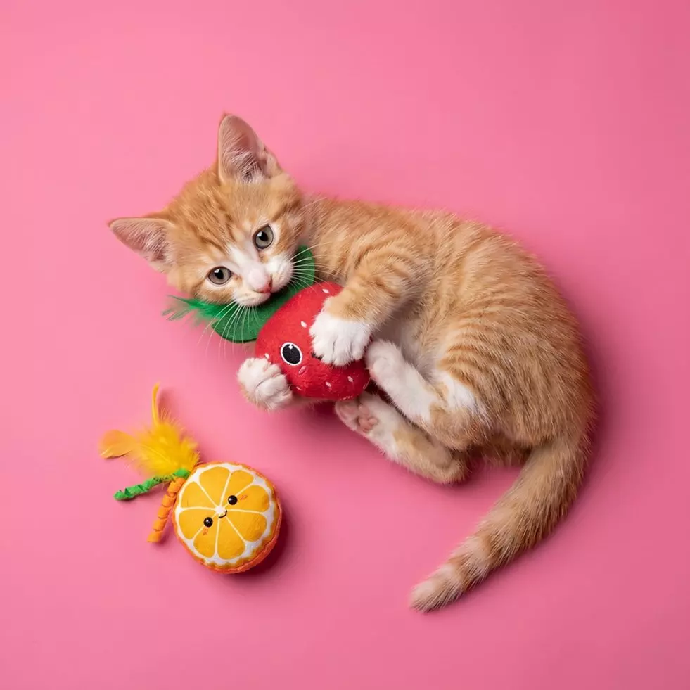 Ginger kitten playing with strawberry plush toy beside orange slice toy.