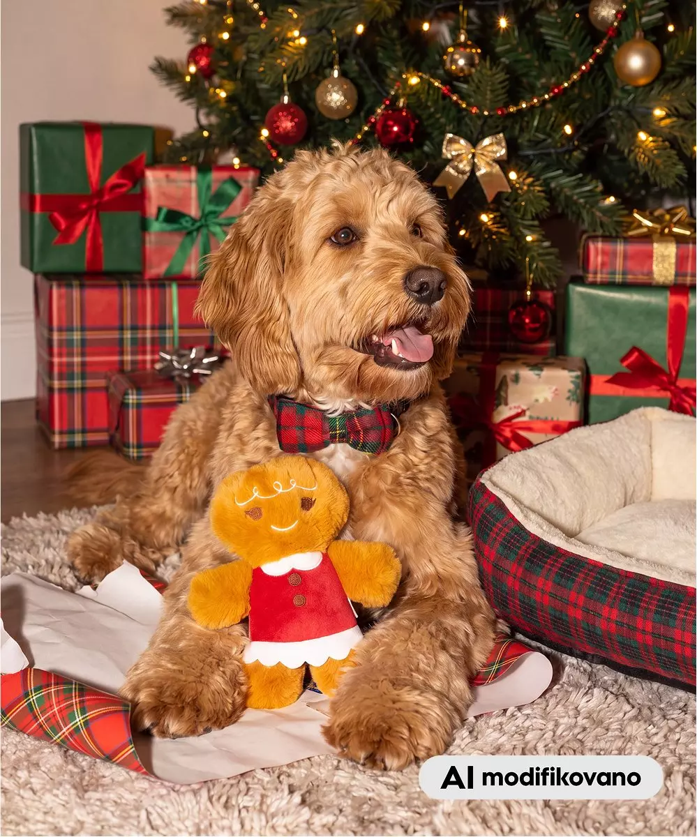 Pepco dog wearing tartan bow tie holding gingerbread toy in front of decorated Christmas tree with wrapped gifts.