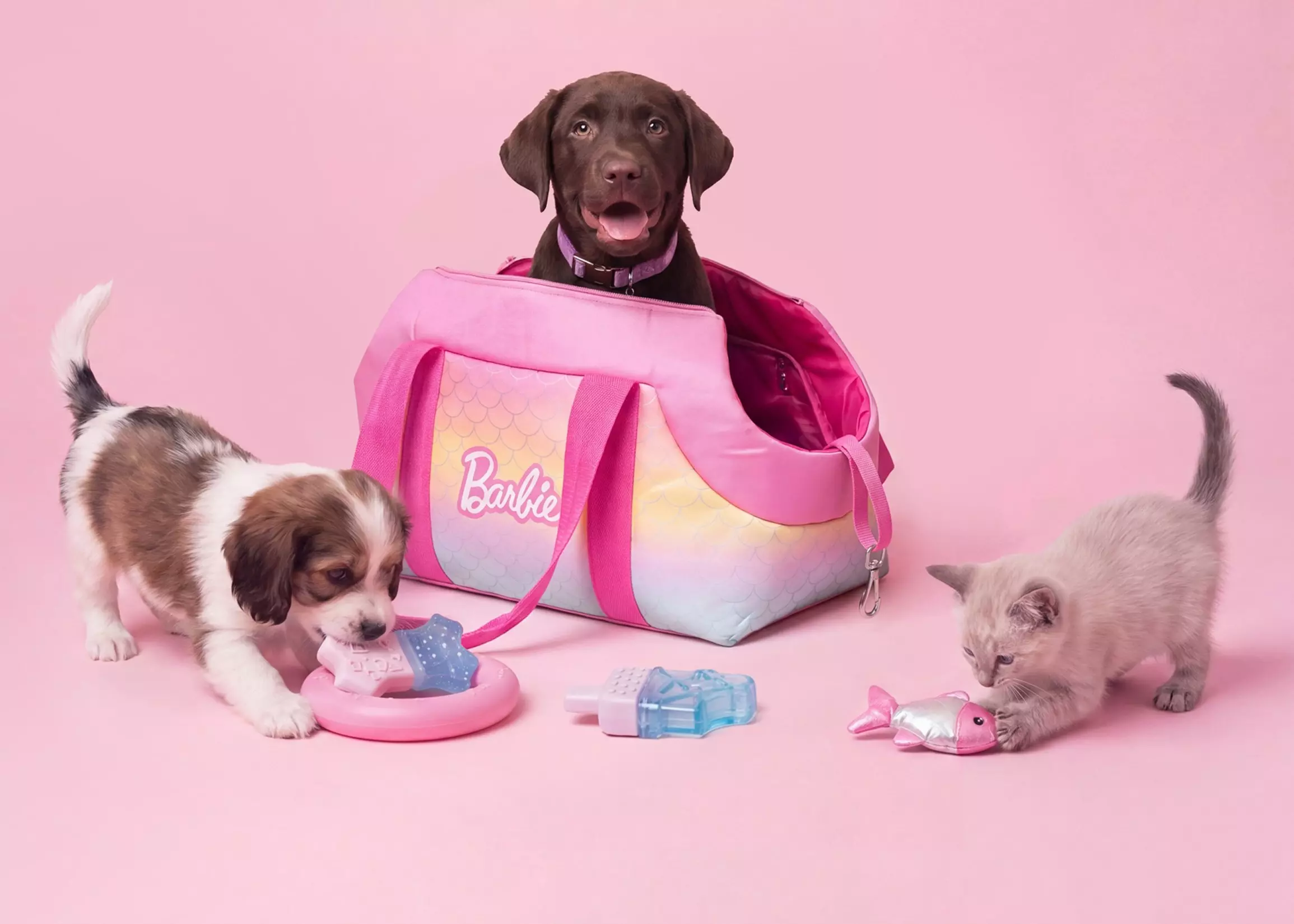 Pepco Barbie branded pet carrier bag with chocolate Labrador, puppy and kitten playing with pet toys.
