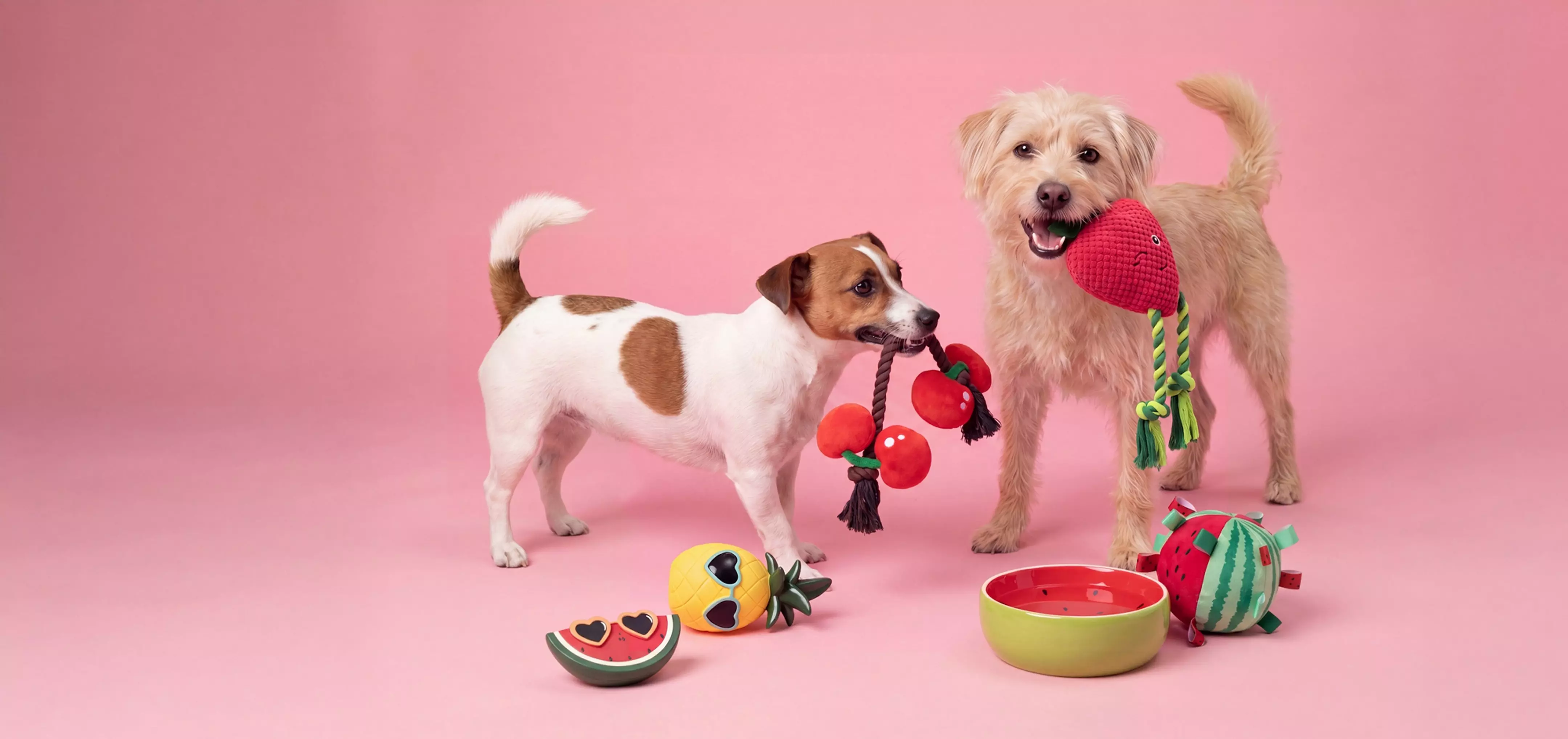 Dos perros jugando con juguetes de frutas, incluyendo sandía, piña y cerezas.