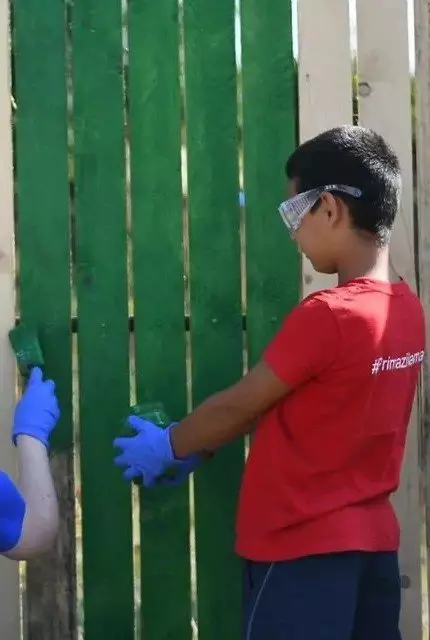 Băiat cu tricou roșu și mănuși albastre pictând un gard de lemn în verde.