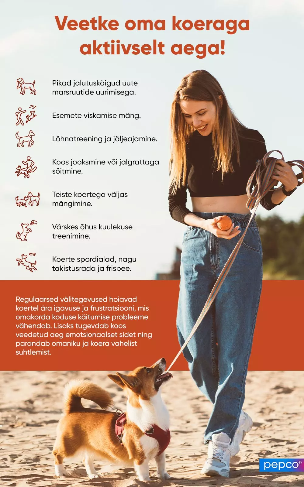 Pepco infographic showing a person playing with a corgi on a beach, with seven suggested activities for spending quality time with dogs.