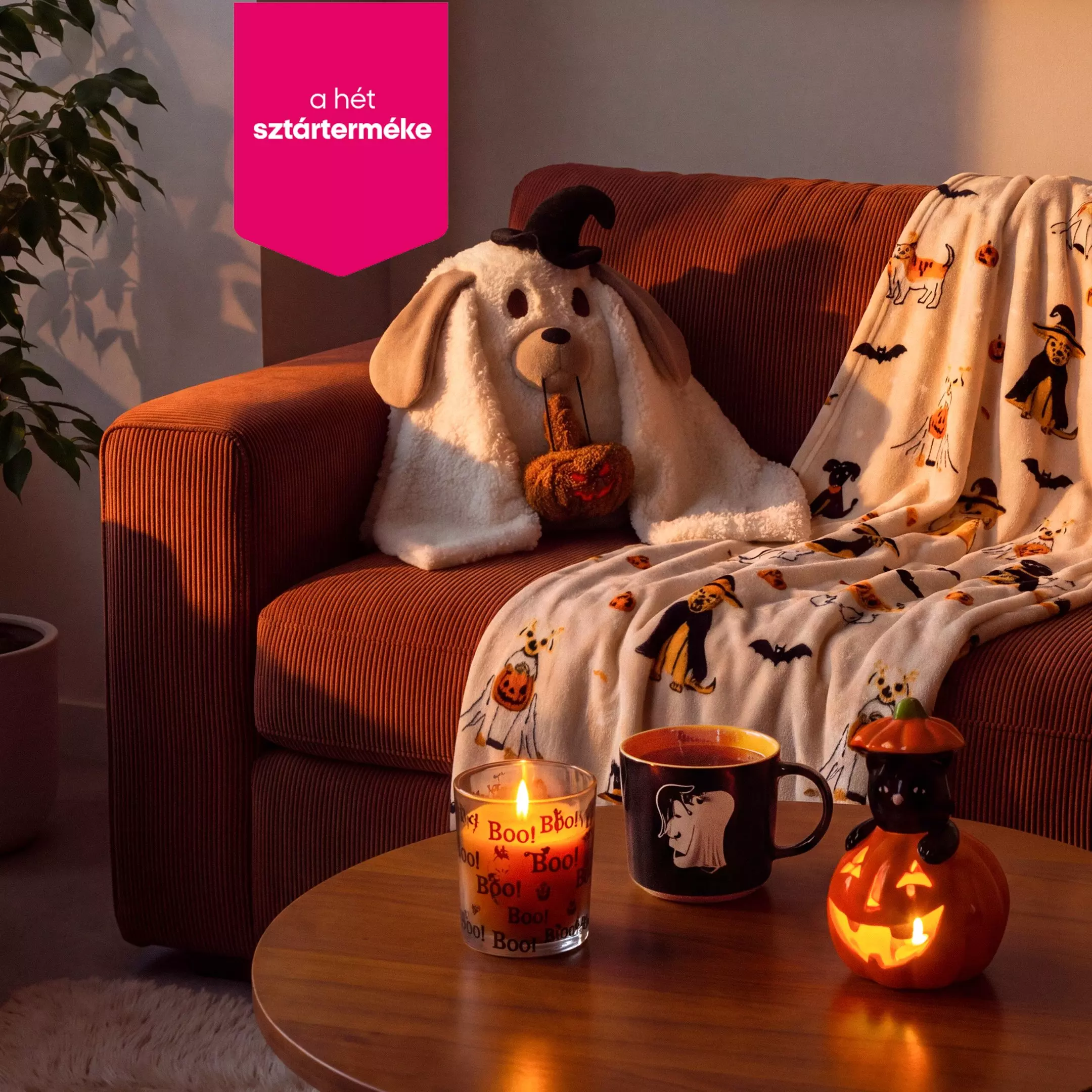 Pepco Halloween dekoráció kanapén kutyapárnával és ünnepi takarókkal, asztalon faragott töklámpással.