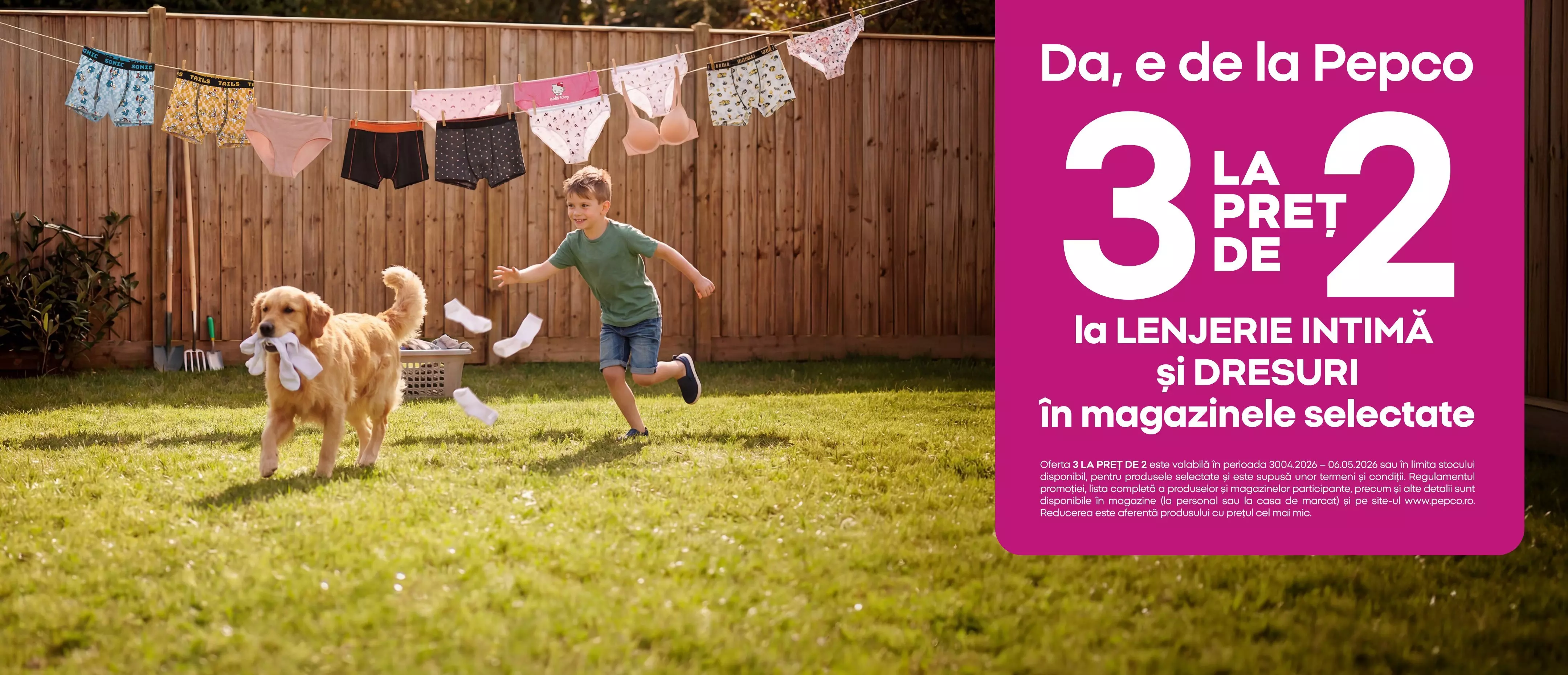 Băiat alergând în grădină cu un câine golden retriever, lenjerie intimă uscându-se pe sârmă în fundal.