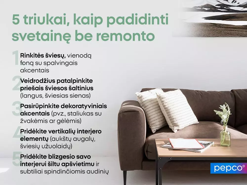 Rudas sofos su pagalvėmis ir kavos staliuko interjeras su tekstu apie 5 triukus sveikatos gerinimui.