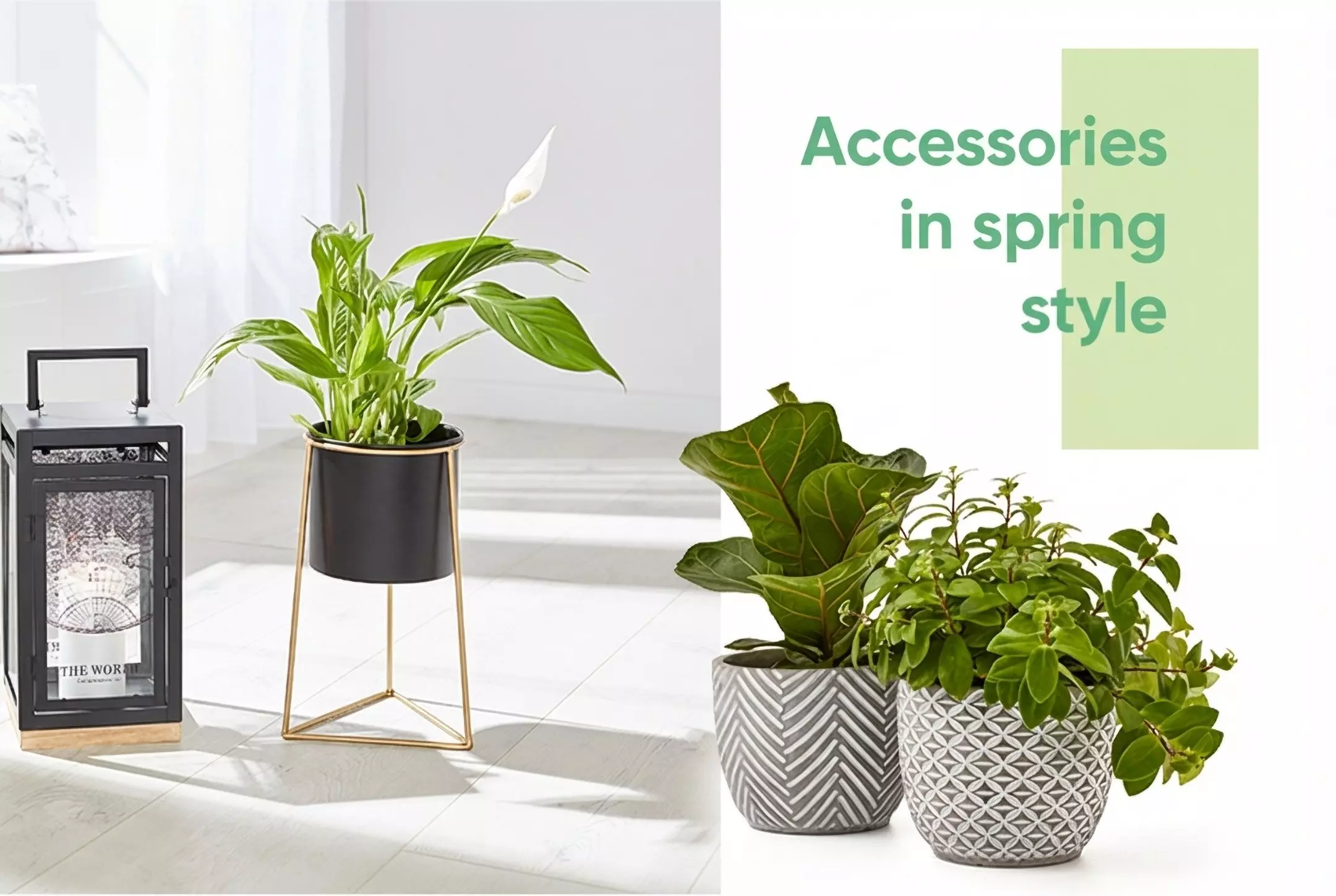 Pepco spring home accessories featuring decorative planters with houseplants and a lantern in a bright interior setting.