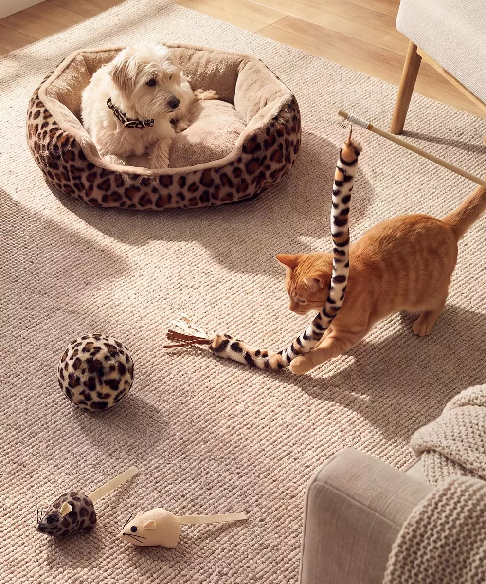 Pepco pet accessories featuring a white dog in leopard print bed and ginger cat playing with leopard print toys.