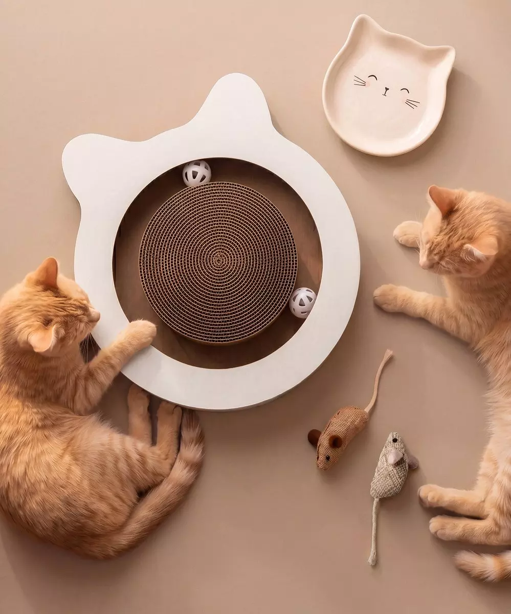 Dos gatos jugando con rascador de cartón Pepco con forma de gato y juguetes tipo ratón.