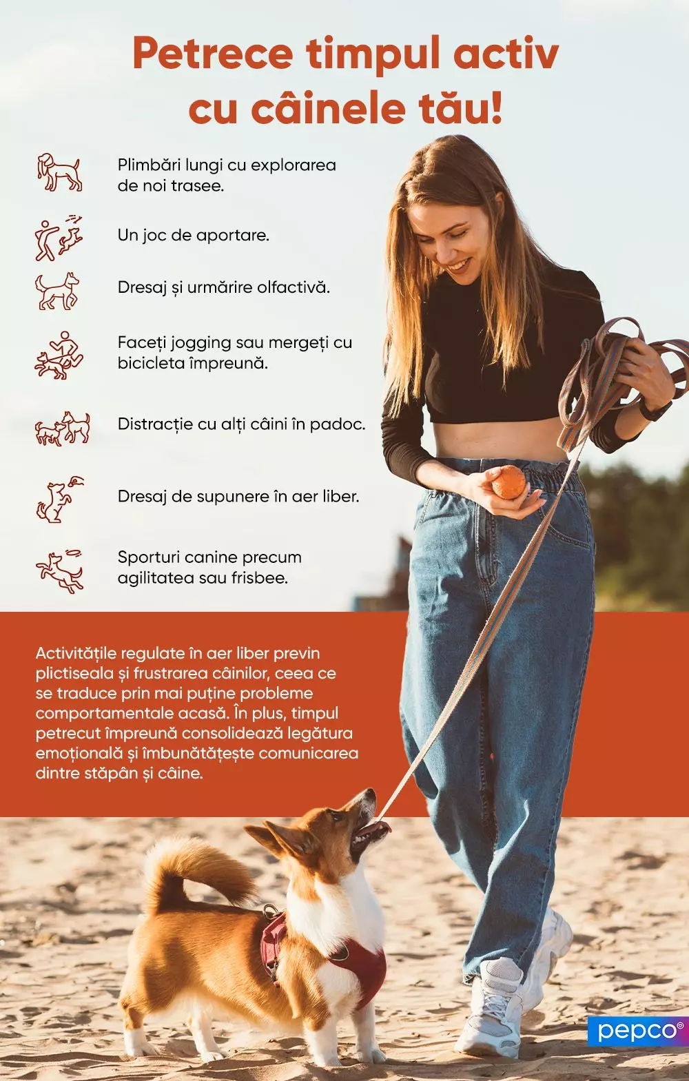 Persoană jucându-se cu un câine Corgi pe plajă, ținând o minge și o lesă, alături de sfaturi pentru activități în aer liber cu animalul de companie.