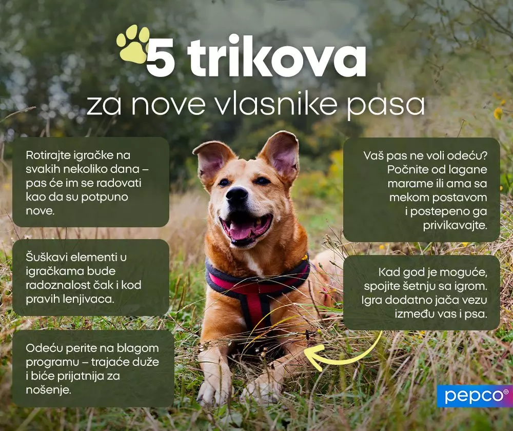 Nasmejani pas sa kaišem u travi, okružen savetima "5 trikova za početnike vlasnike pasa" iz Pepco kolekcije za kućne ljubimce.