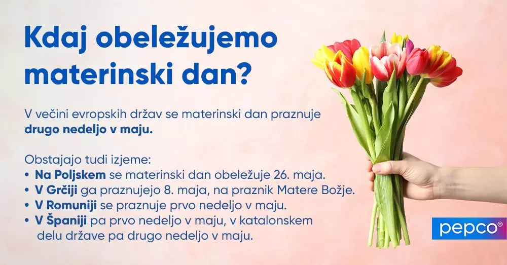 Roka drži šopek barvitih tulipanov v rožnati, rumeni in rdeči barvi.