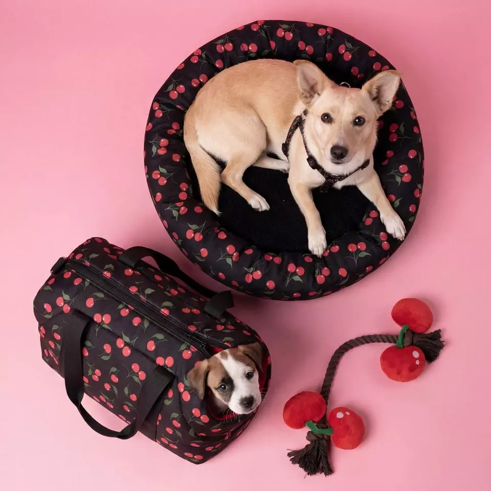 Perro beige descansando en cama redonda con estampado de cerezas, junto a transportín y juguetes a juego.