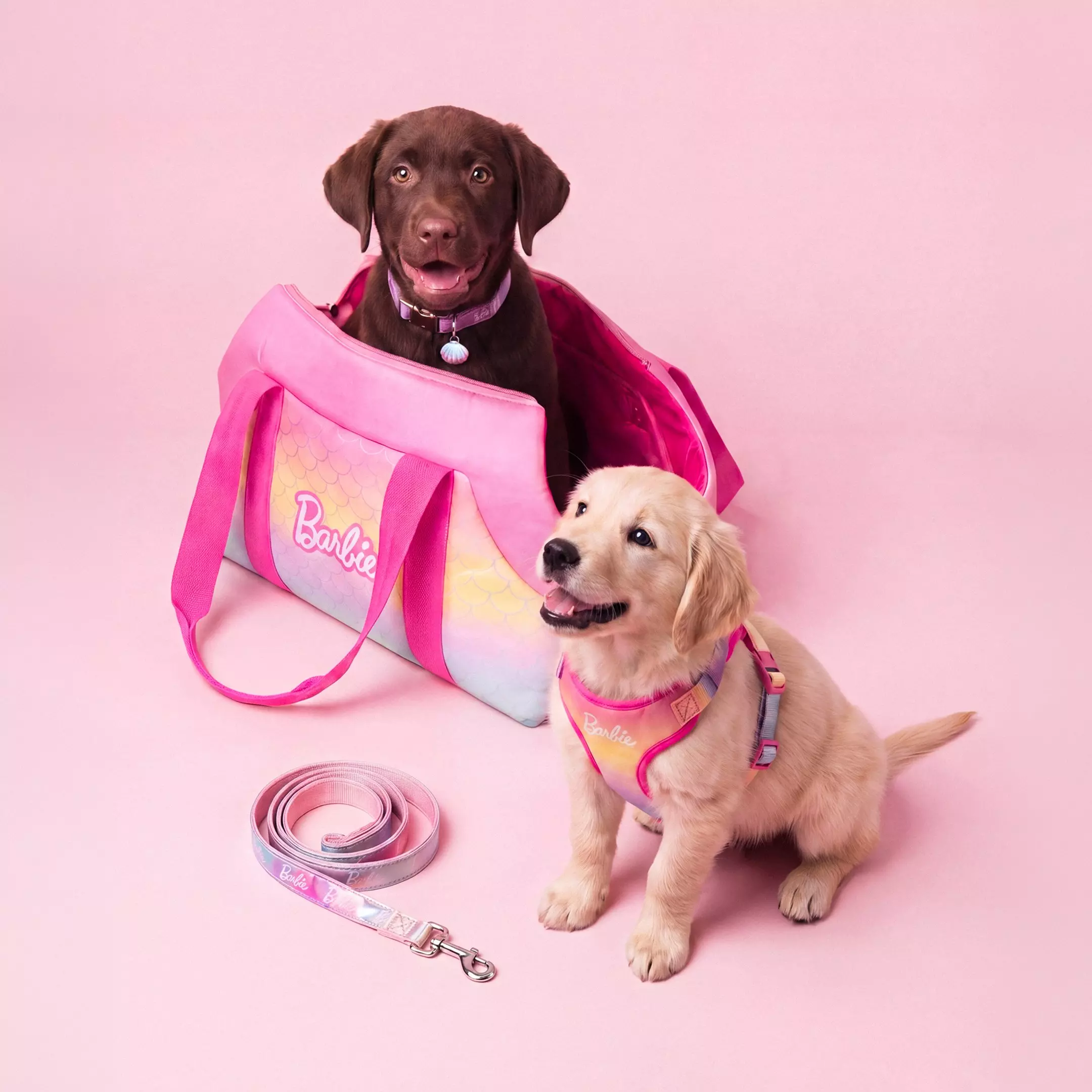 Dos cachorros con accesorios Barbie de Pepco: bolso transportín rosa, arnés y correa a juego.