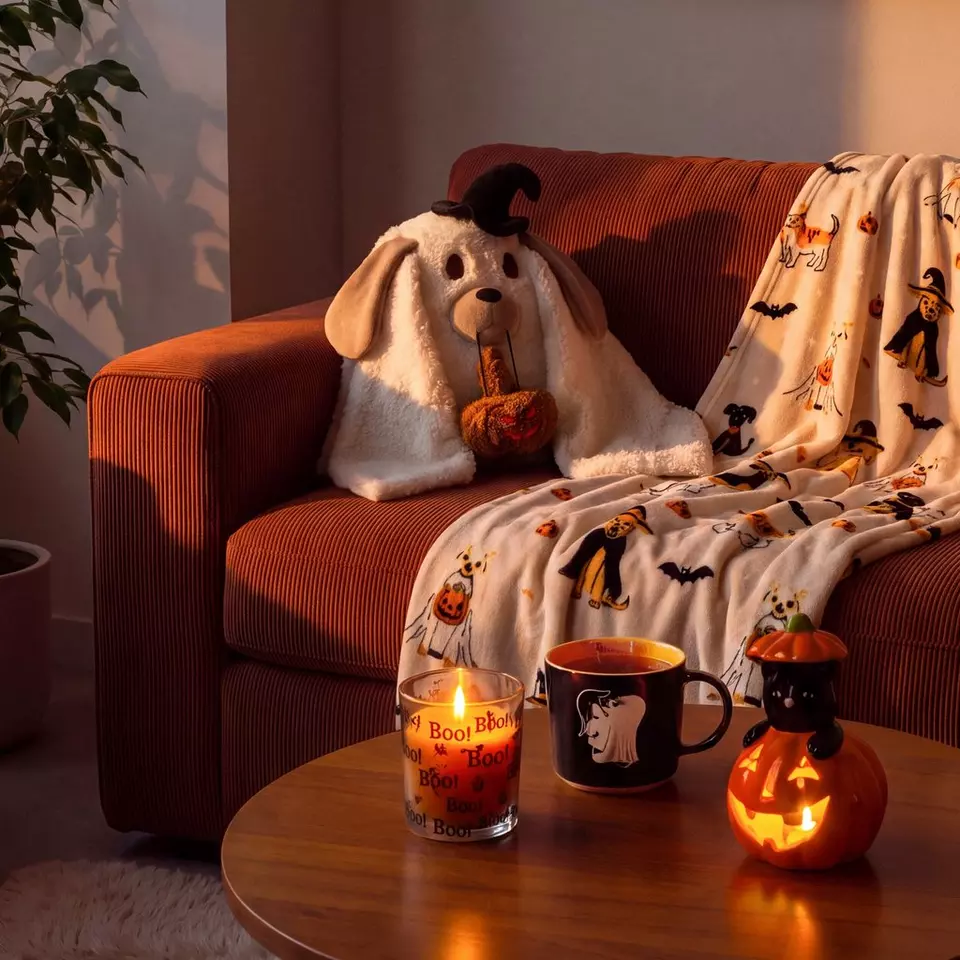 Pepco Halloween homeware including dog cushion, themed blankets, lit candle and pumpkin decoration on orange sofa.