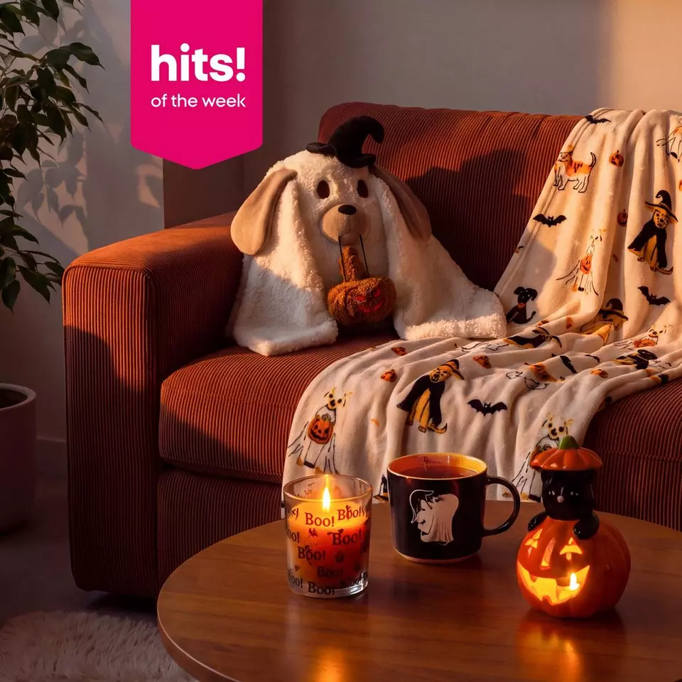 Pepco Halloween homeware collection featuring dog cushion, themed blankets, candles and lit pumpkin decoration.