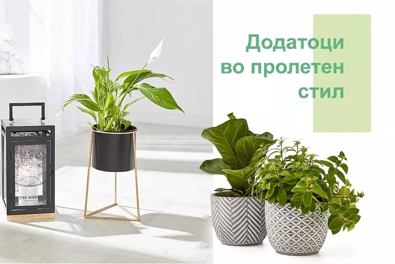 Pepco декоративни саксии со зелени растенија и фенер прикажани во современ домашен простор.