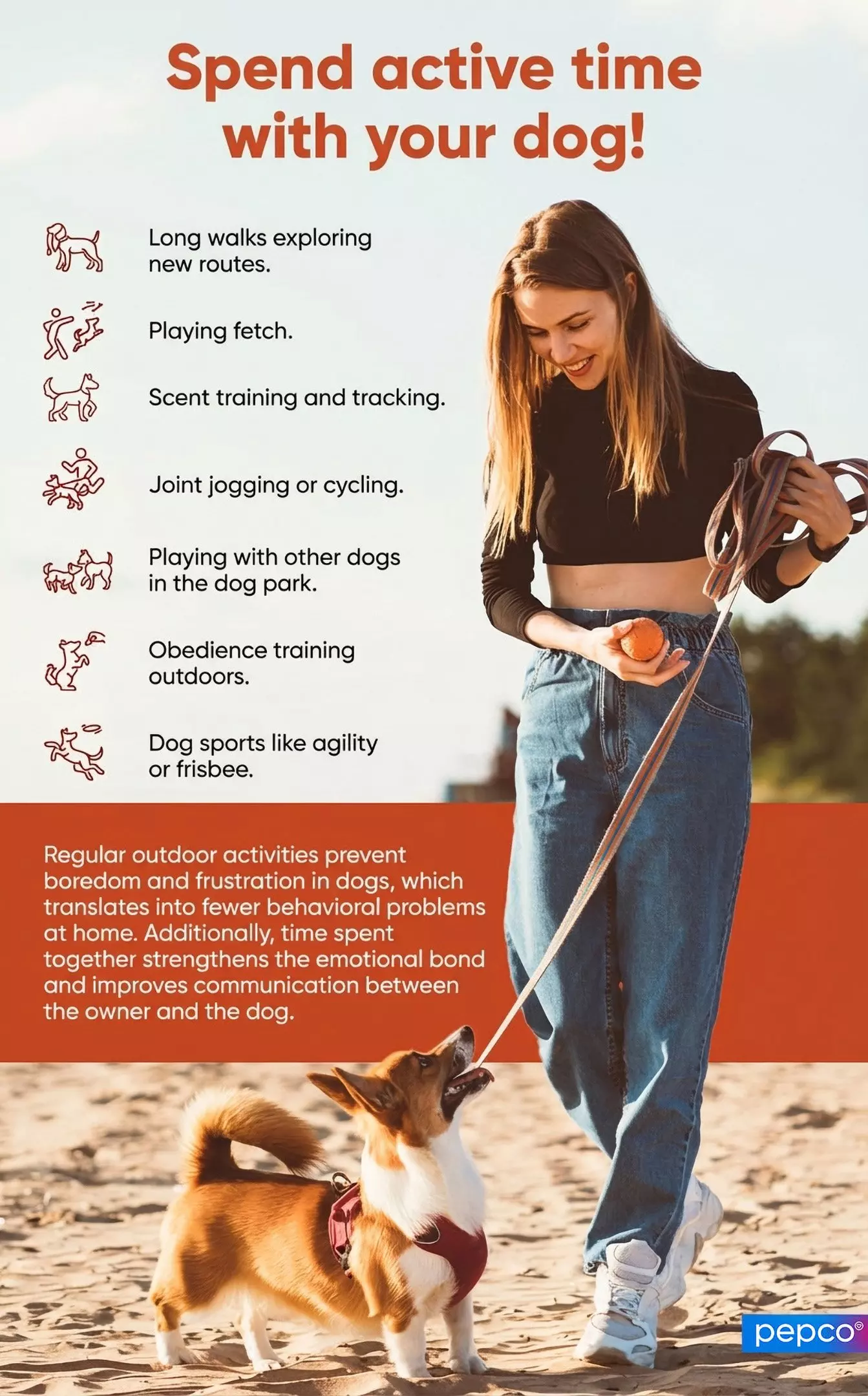 Pepco infographic showing a person playing with a small dog on a beach, with tips for active dog activities listed on the side.