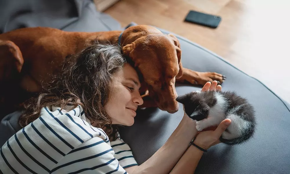 Osoba w koszulce w paski Pepco przytula brązowego psa i małego czarno-białego kotka na kanapie.