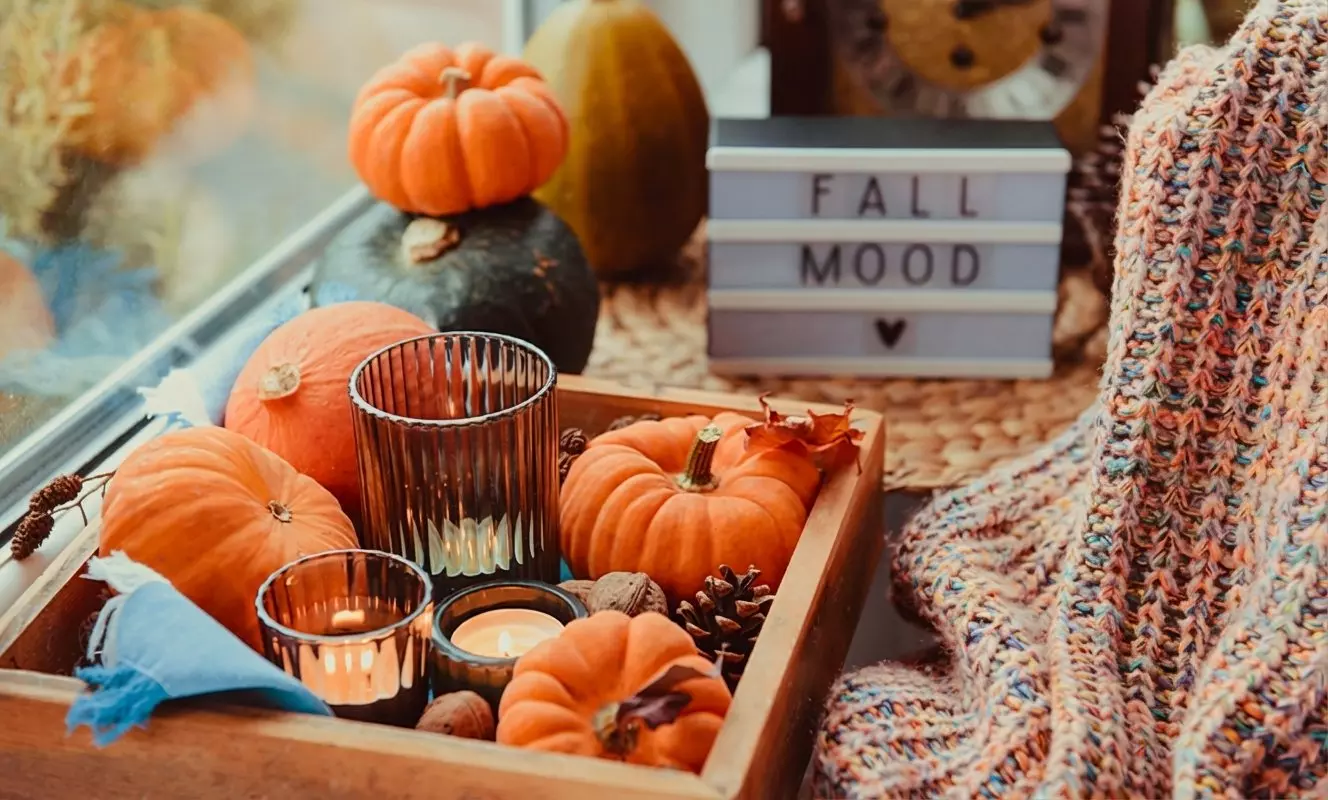 Pepco autumn decoration display with orange pumpkins, candle holders, FALL MOOD sign, and cozy knitted throw blanket.