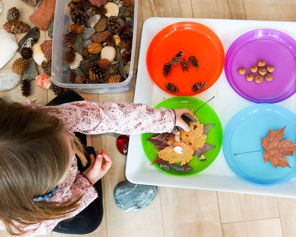 Dziecko segreguje naturalne elementy w kolorowych miskach Pepco - szyszki, żołędzie i liście do zabaw sensorycznych.